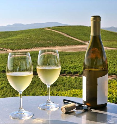 Napa-wine-tour-image Limo Van Service in Napa